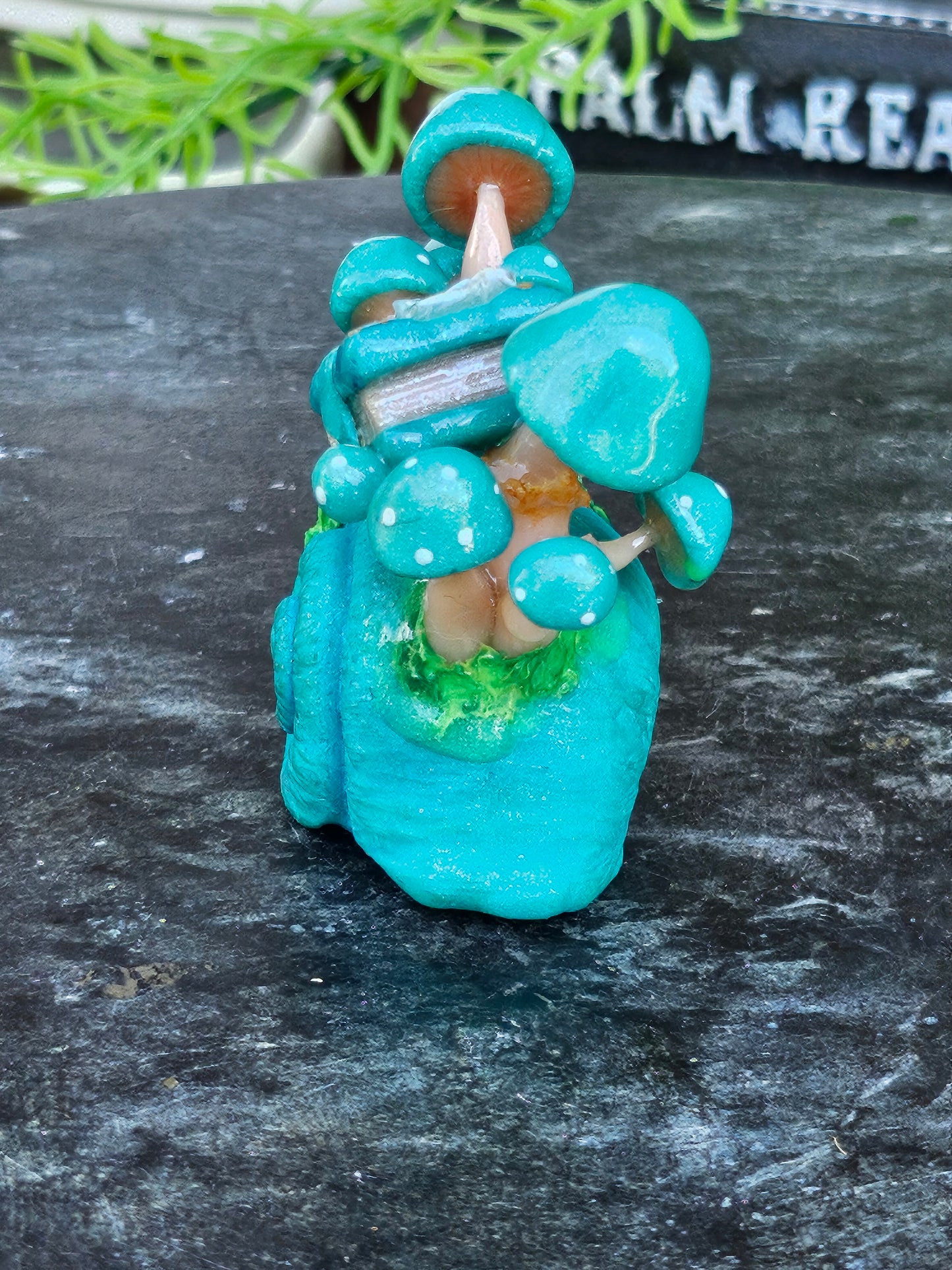 Pearl Turquoise Mushroom Shell