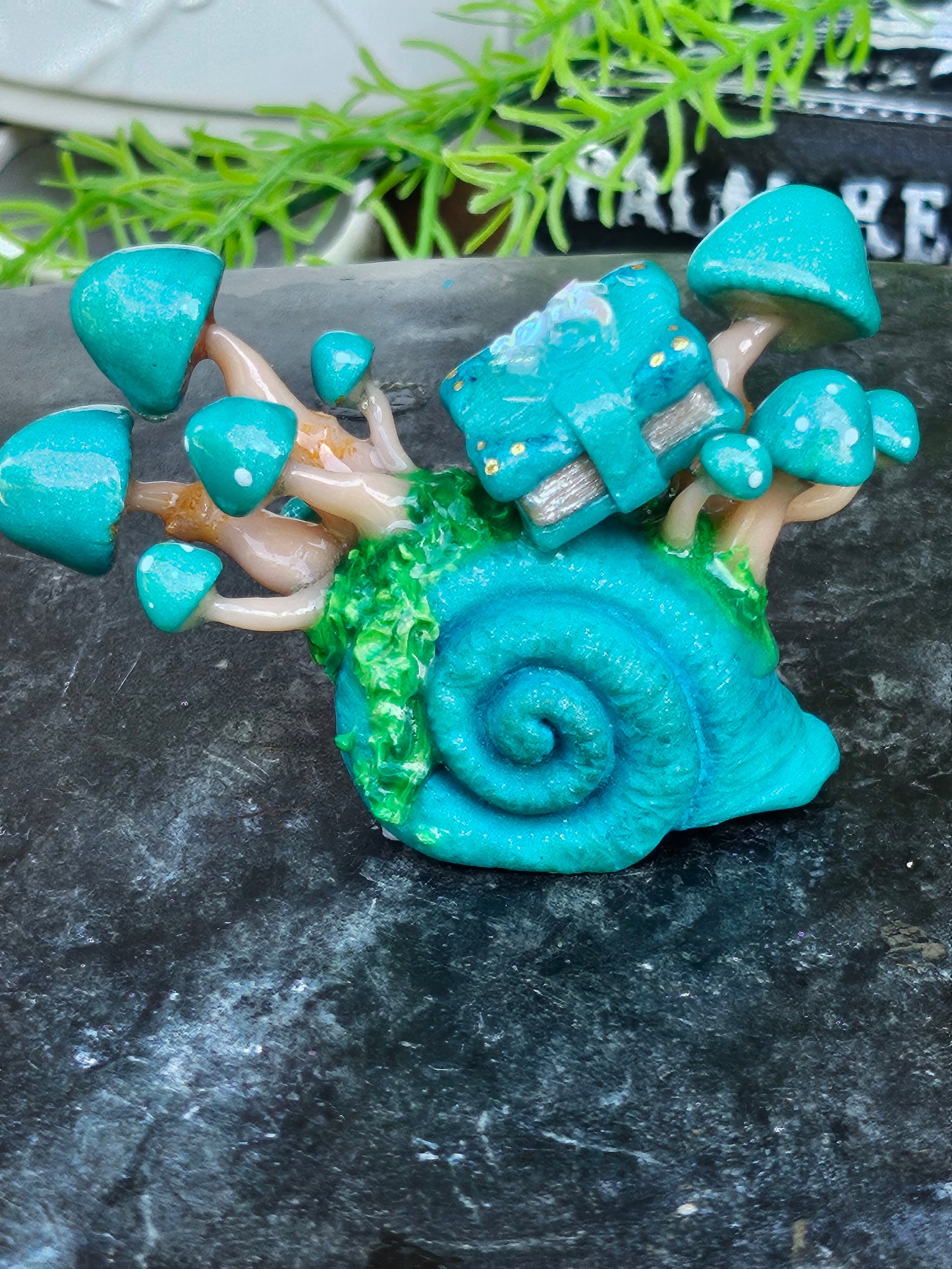 Pearl Turquoise Mushroom Shell